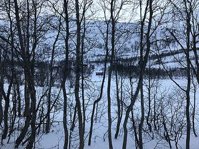 Paisajes desde el tren noruegos en invierno