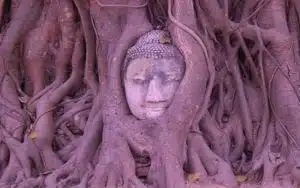 Wat Mahathat, Ayutthaya