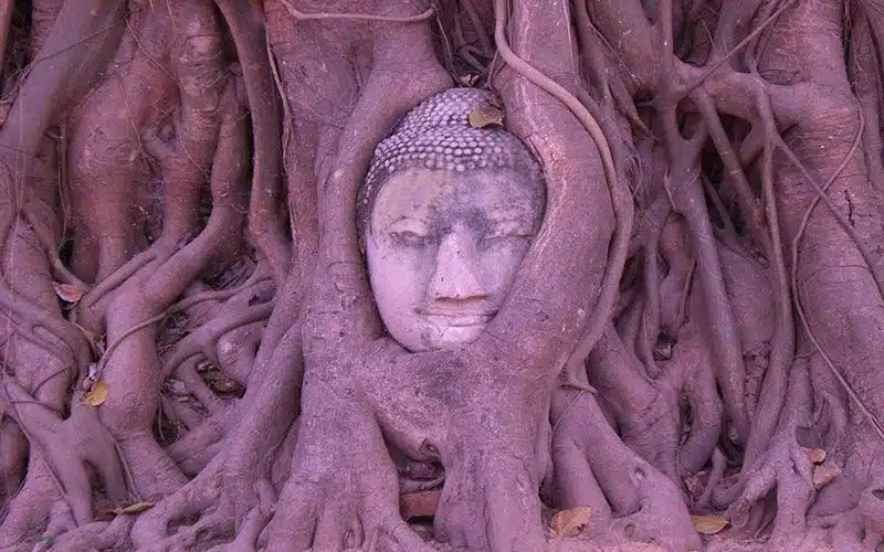  viajes a tailandia organizado Wat Mahathat