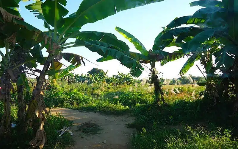 Mae Hong Son