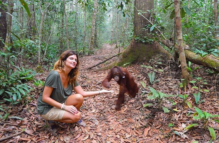 Excursión de orangutanes en Borneo
