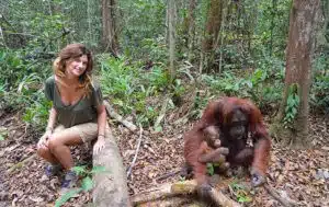 Tour Orangutanes de Borneo