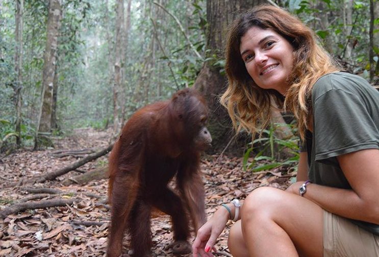 Excursión de orangutanes en Borneo