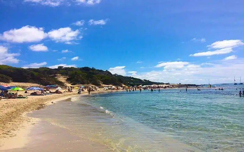 Playa de Las Salinas Ibiza