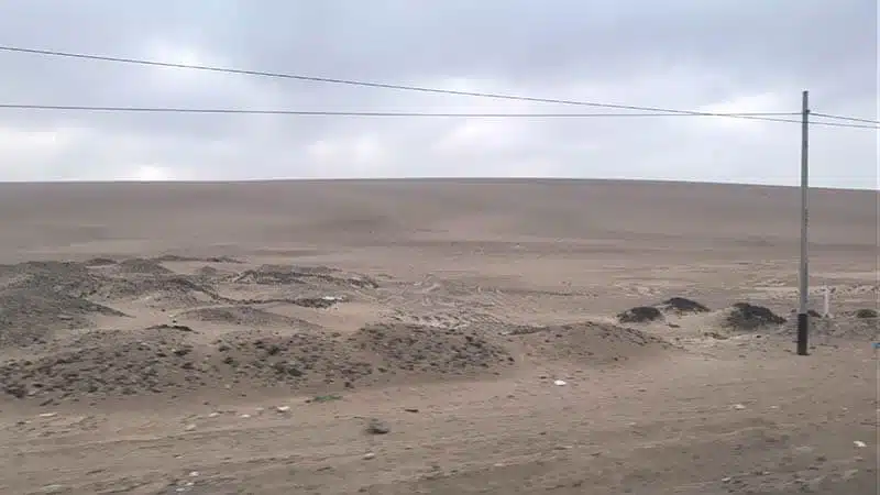 Paracas e islas ballestas