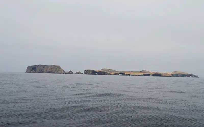 Paracas e islas ballestas
