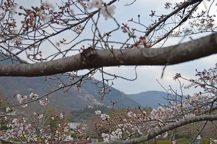 Qué ver en Arashiyama