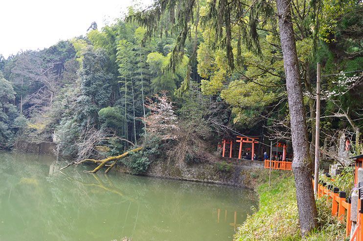 Ruta por Fushimi Inari