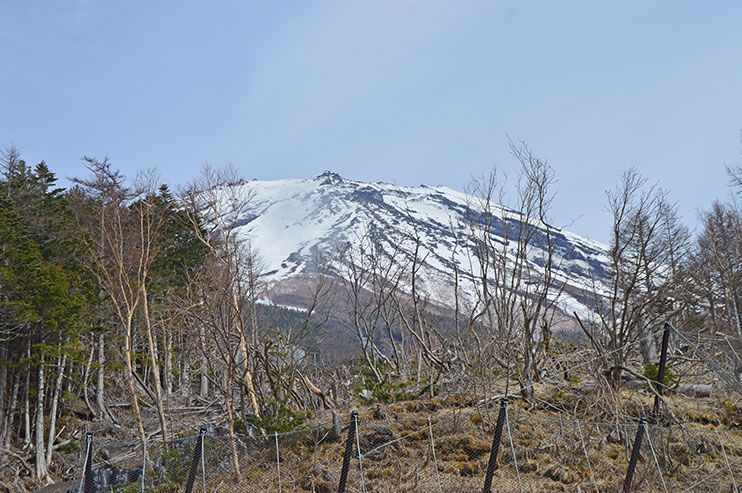  Monte Fuji