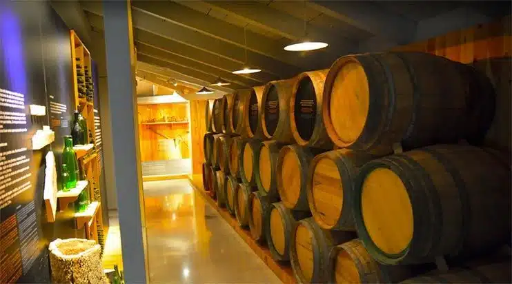 Museo del vino de Navarra, Olite