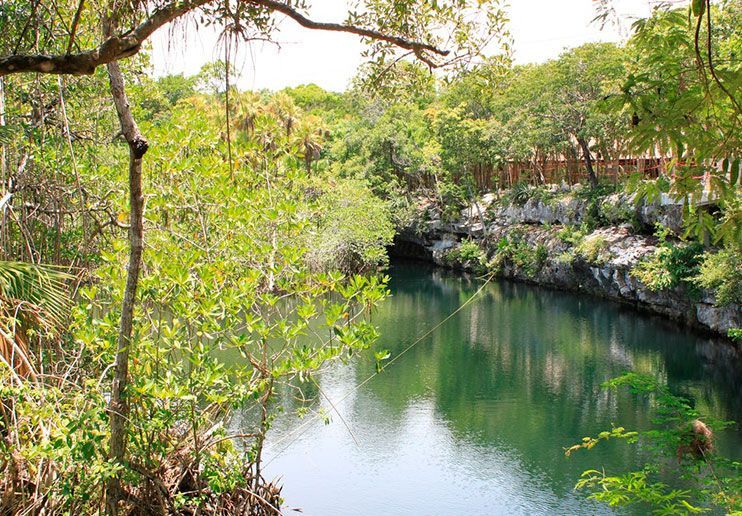 Cenote encantado
