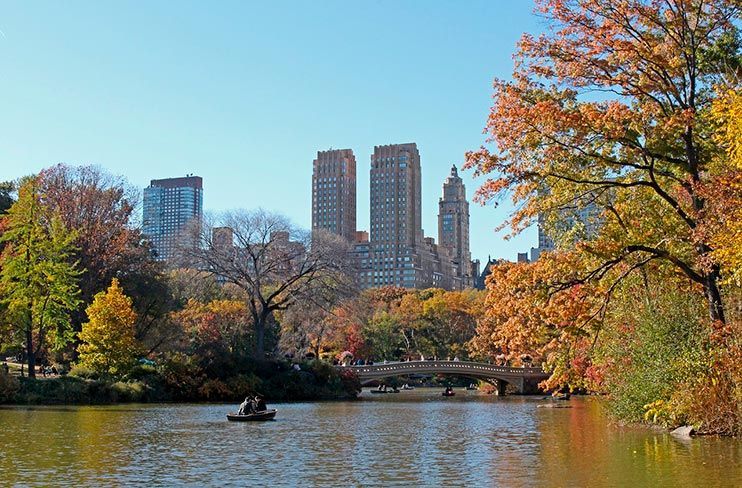 Que hacer en Nueva York - Pasear por el Central Park