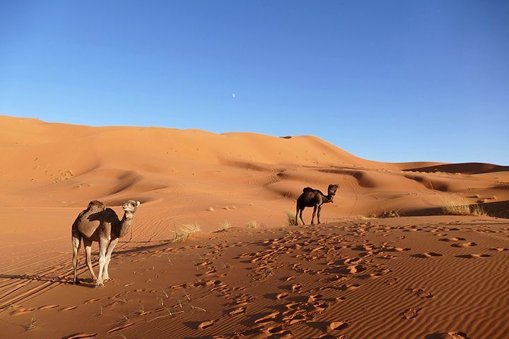 Marruecos Merzouga Viajando por el mundo mundial
