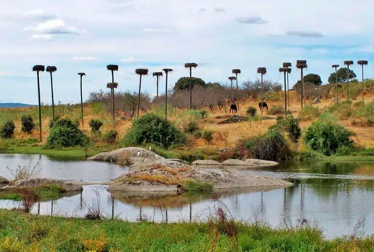 Los Barruecos Qué ver en Extremadura