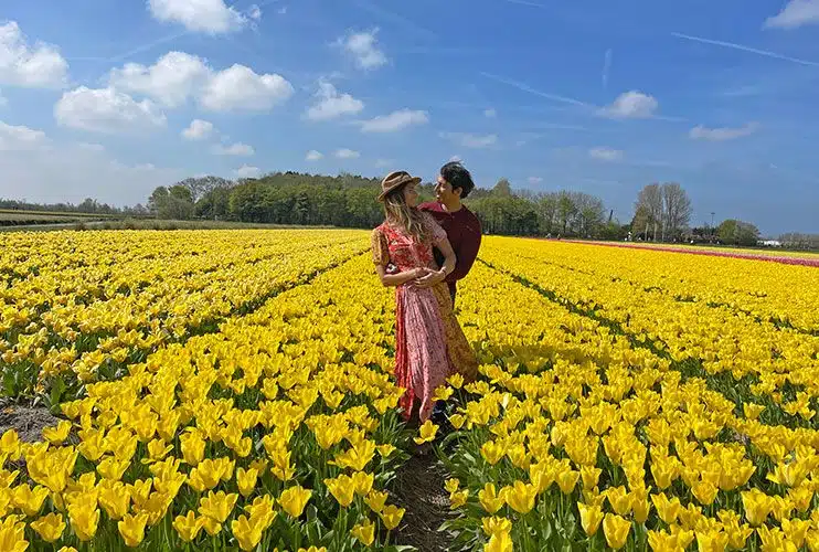 Los campos de tulipanes más bonitos de Holanda