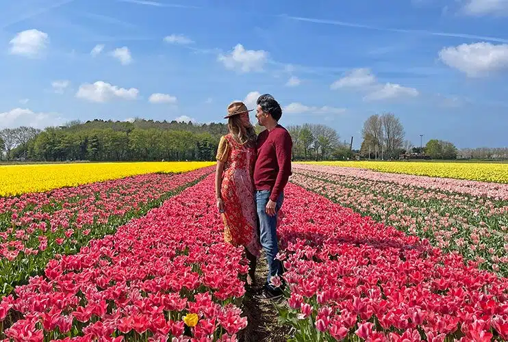 Campos de tulipanes de Lisse