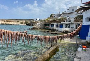 Restaurante Medusa en Milos