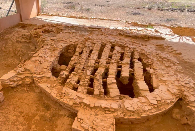 Amphoralis