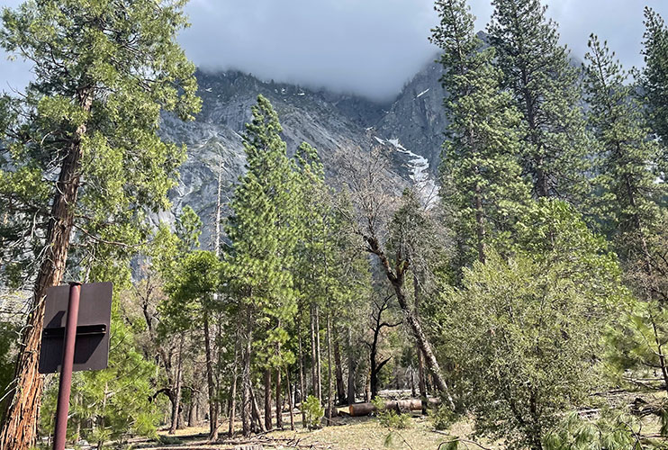 Cómo visitar el parque de Yosemite