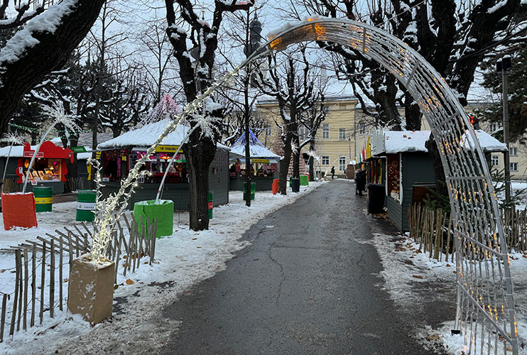 Weihnachtsmarkt Altes AKH