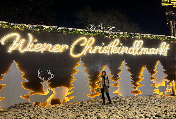 Mercados navideños de Viena