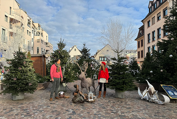 Place de la Marie Colmar