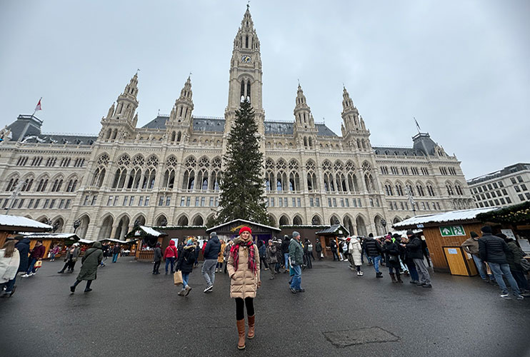 Viena en Navidad