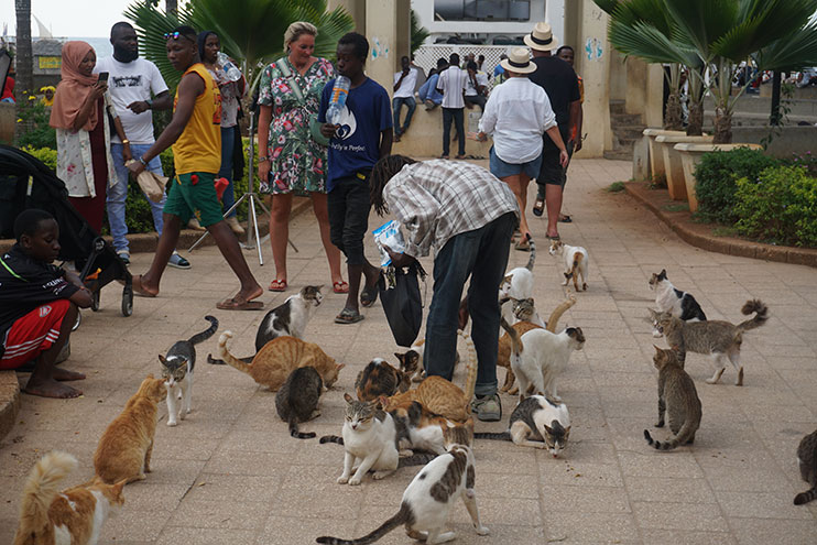 Forodhani Market Stone Town