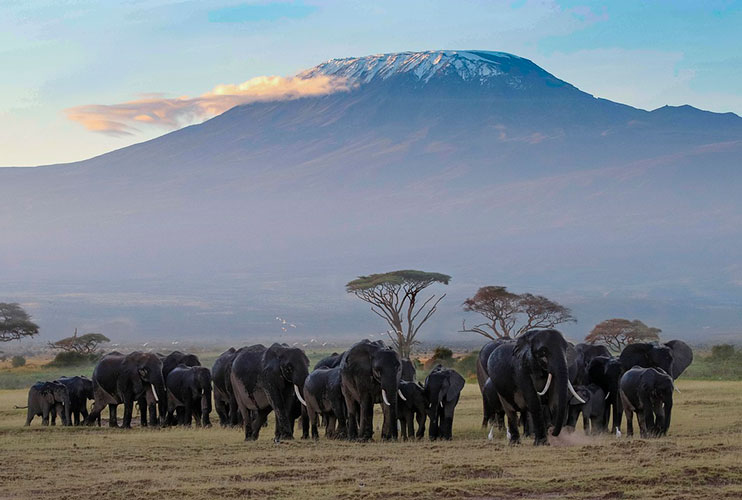 Parque Nacional de Amboseli en Kenia