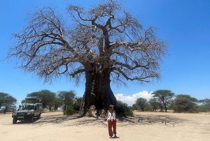 Baobab en Tarangire