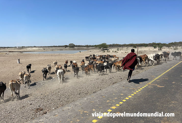 Carreteras de Tanzania