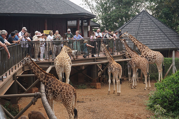 Giraffe Centre Nairobi