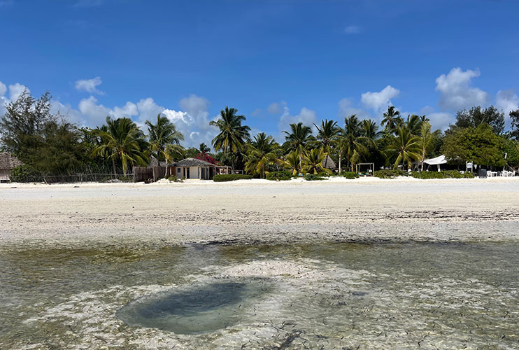 Jambiani beach Zanzibar