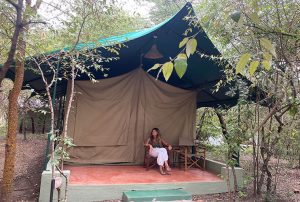 Mejores safaris en Kenia