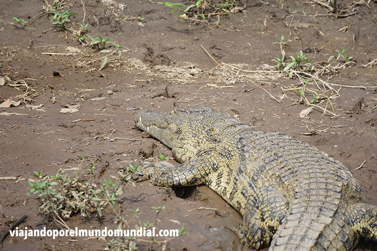 Viaje a Kenia y Tanzania