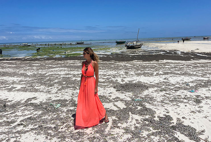 Algas en Nungwi con la marea baja