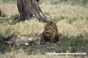 Viaje a Kenia y Tanzania