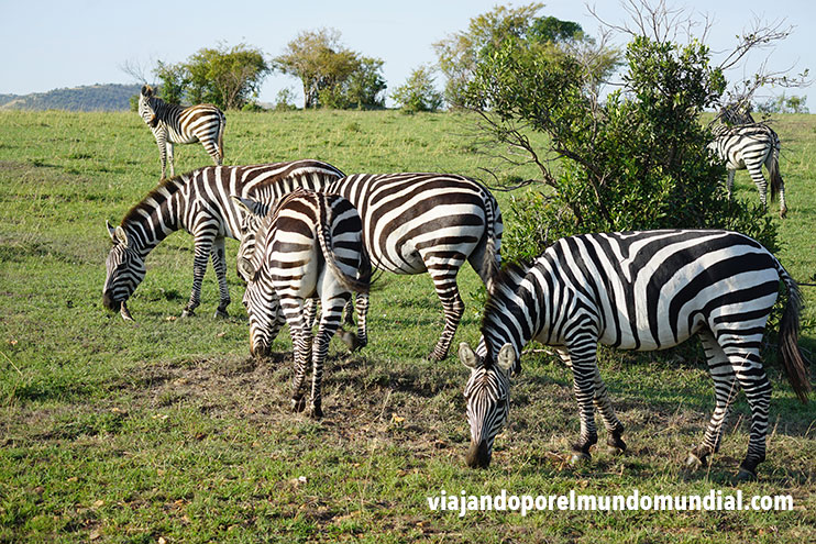 Viajar a Kenia