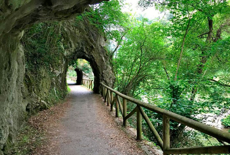 Que ver en Asturias: Senda del oso