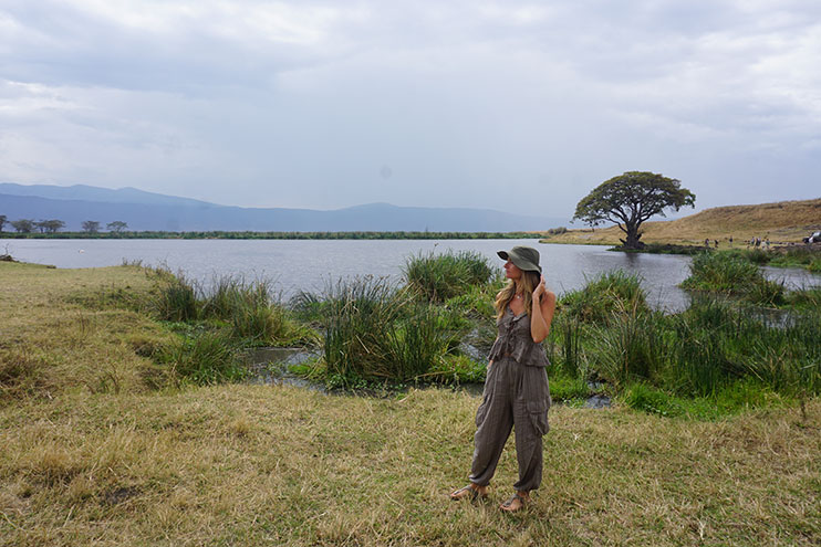 Safari en Ngorongoro 