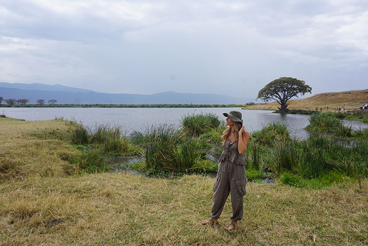 Safari en Ngorongoro