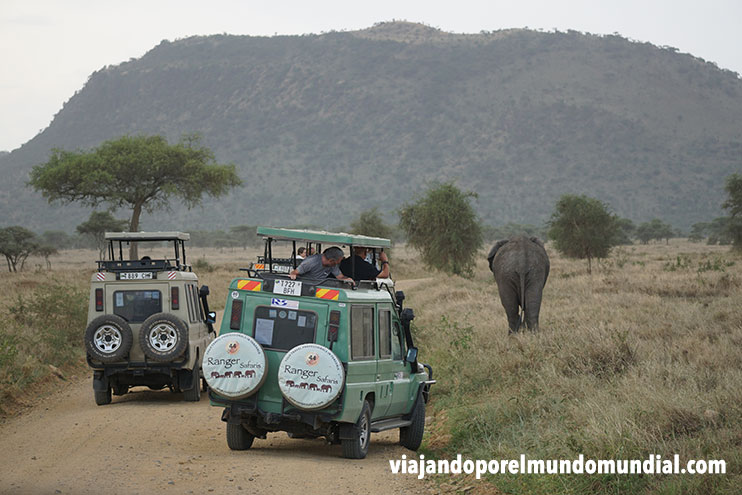 Los mejores safaris en Tanzania