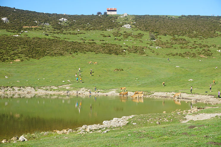 Ruta por Asturias en coche: lagos de Covadonga