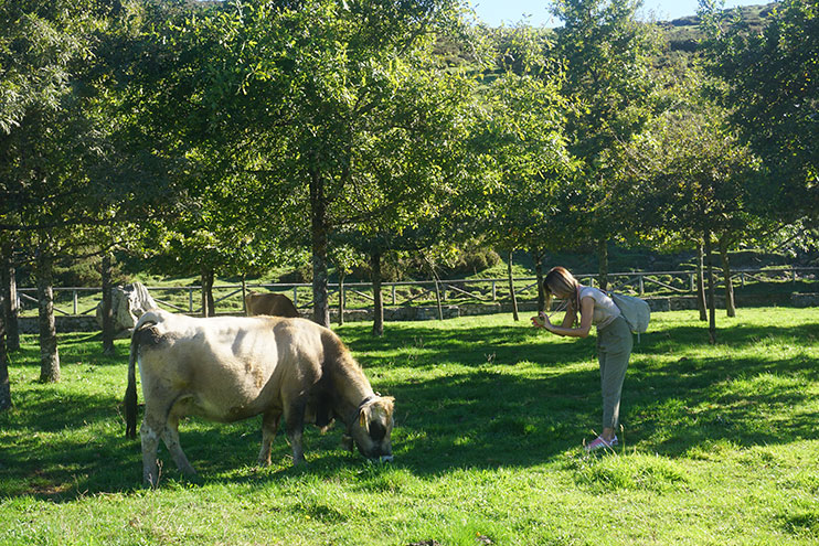 Cómo visitar los Lagos de Covadonga