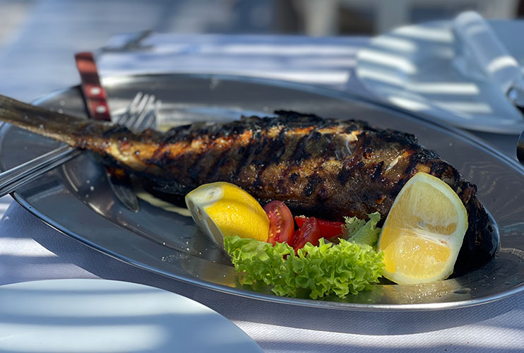Dónde comer pescado en Santorini