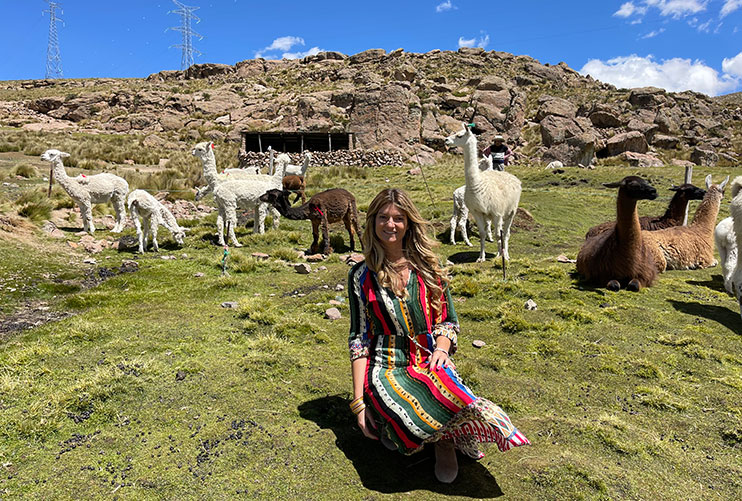 Fauna en el valle del Colca