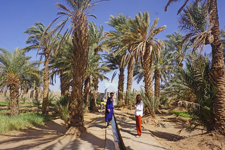 Oasis de Hassi Bid en Merzouga