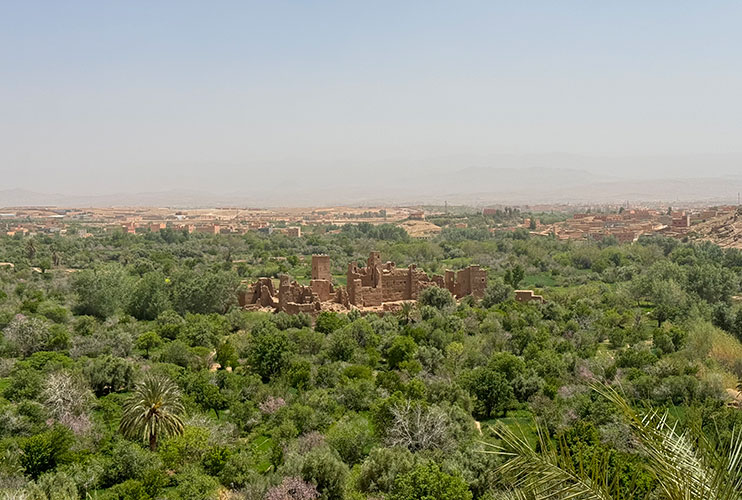 Kasbahs valle de las rosas