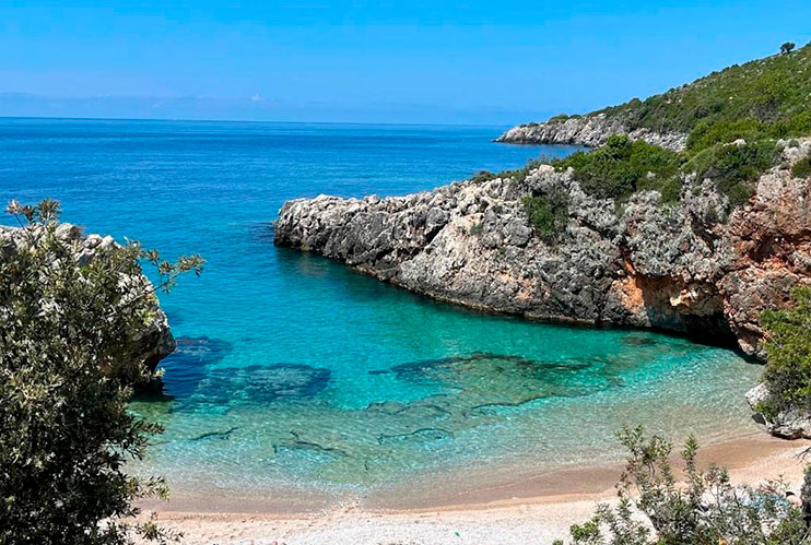 Aquarium beach