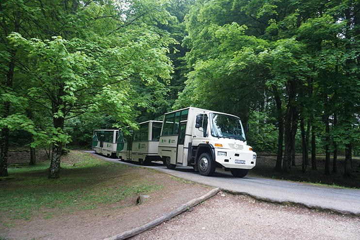 Bus en los lagos de Plitvice
